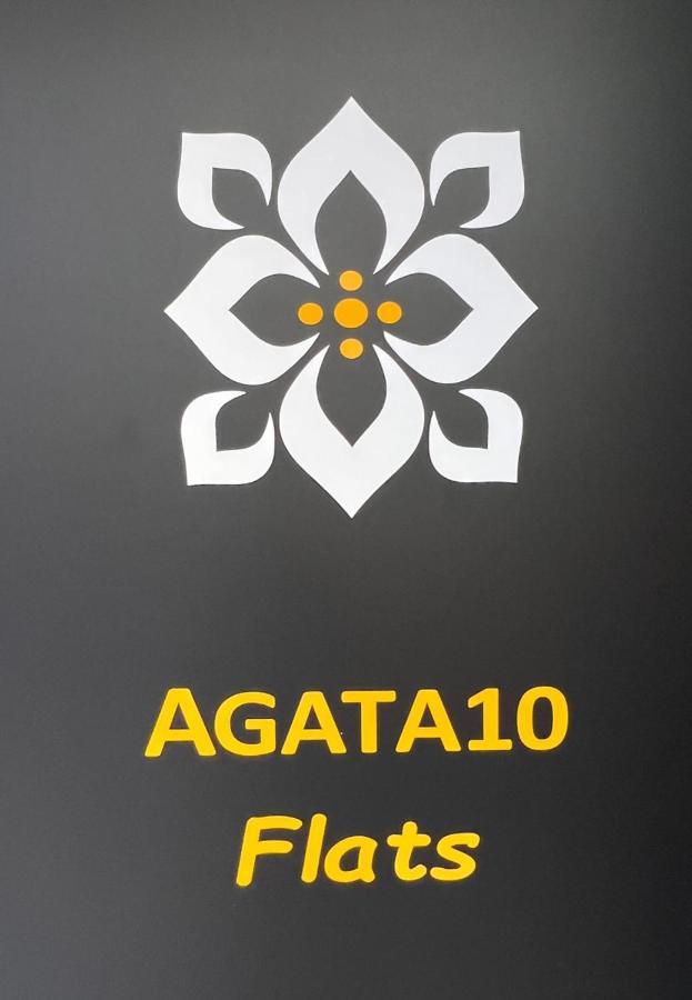 阿利坎特Agata 10-3E公寓 外观 照片